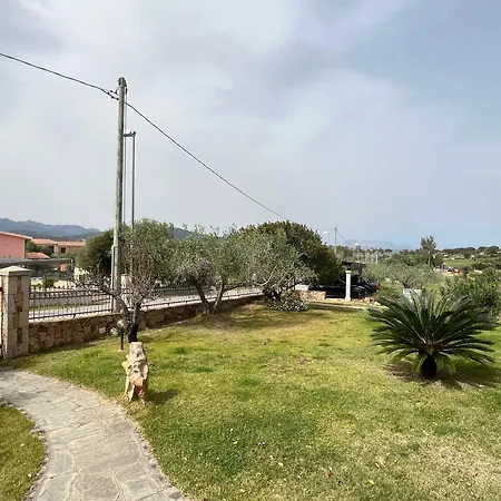 Maccioni * Будони