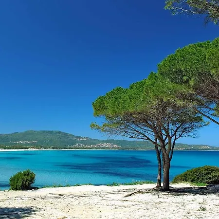 Апартаменты Maccioni Будони