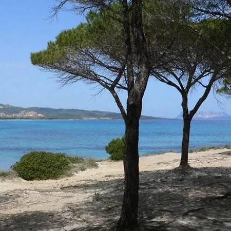 Apartmán Maccioni