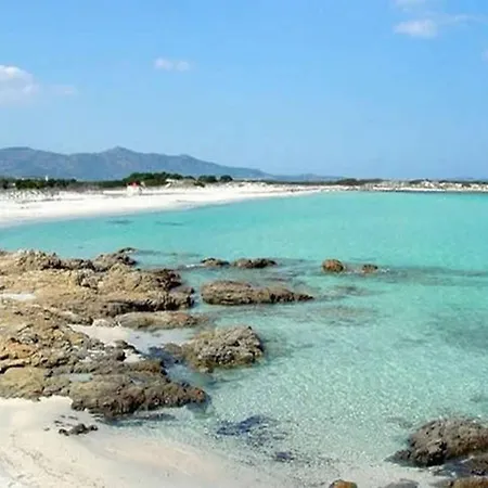 Maccioni * Будони