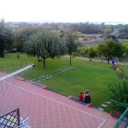 Maccioni